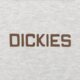 Vyriškas džemperis DICKIES DŽEMPERIS SU GOBTUVU PAYSON HOODIE dk0a88poa281 spalva pilka