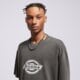 Vyriški marškinėliai DICKIES MARŠKINĖLIAI PLAINVILLE SS TEE dk0a88gnblk1 spalva pilka