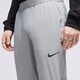 Vyriškos kelnės NIKE KELNĖS FLEX VENT MAX PT GRY SWEATSHIRT dm5948-073 spalva pilka