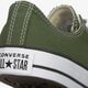 Vyriški inkariukai CONVERSE CHUCK TAYLOR ALL STAR  166711c spalva žalia