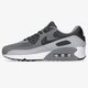 Vyriški kedai NIKE AIR MAX 90  dc9388-003 spalva pilka