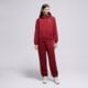 Moteriškos kelnės JORDAN KELNĖS JBROOKLYN FLEECE fv7077-677 spalva tamsiai raudona
