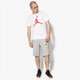 Vyriški šortai JORDAN ŠORTAI JSW WINGS LITE SHORT 914434-063 spalva pilka
