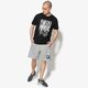 Vyriški šortai NIKE ŠORTAI M NSW SHORT AIR FLC 886052-063 spalva pilka