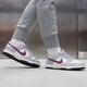 Moteriški kedai NIKE DUNK LOW dd1503-122 spalva pilka