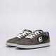 Vyriški inkariukai ETNIES VERANO 4101000430039 spalva pilka