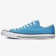Vyriški inkariukai CONVERSE CHUCK TAYLOR ALL STAR  166709c spalva mėlyna