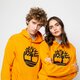 Vyriškas džemperis TIMBERLAND DŽEMPERIS SU GOBTUVU YC CORE TREE LOGO LOGO PULL  tb0a2bjhar81 spalva tamsi geltona