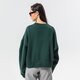 Moteriškas džemperis NIKE DŽEMPERIS W NSW ESSNTL CLCTN FLC OS CRW dj7665-397 spalva žalia