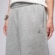 Moteriškos kelnės JORDAN KELNĖS W J BRK FLC WL PANT BB im7301-063 spalva pilka