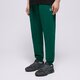 Vyriškos kelnės REEBOK KELNĖS REEBOK IDENTITY SMALL LOGO 100076444 spalva žalia