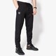 Vyriškos kelnės NEW ERA KELNĖS BORDER EDGE TRK PANT OAK RAIDERS BLK 11372560 spalva juoda