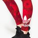 Moteriškos kelnės ADIDAS KELNĖS TREFOIL LEGGING ay7959 spalva raudona