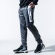 Vyriškos kelnės NIKE KELNĖS AIR cj4838-021 spalva pilka