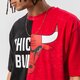 Vyriški marškinėliai NEW ERA MARŠKINĖLIAI WASHED PACK GRAPHIC BULLS CHICAGO BULLS 13083857 spalva raudona