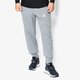 Vyriškos kelnės JORDAN KELNĖS FLIGHT FLEECE WC PANT 823071-091 spalva pilka