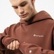 Vyriškas džemperis CHAMPION DŽEMPERIS SU GOBTUVU HOODED SWEATSHIRT 217917ms534 spalva ruda