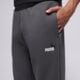 Vyriškos kelnės PUMA KELNĖS ESS 2 COLOR NO. 1 LOGO SWEATPANTS FL CL 684713 44 spalva pilka