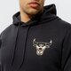 Vyriškas džemperis NEW ERA DŽEMPERIS SU GOBTUVU METALLIC HOODY BULLS CHICAGO BU 12590872 spalva juoda