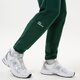 Vyriškos kelnės NEW BALANCE KELNĖS NB ESSENTIALS FLEECE JOGGER mp23504nwg spalva žalia