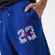 Vyriškos kelnės JORDAN KELNĖS M J SPRT DNA FLC PANT dj0190-455 spalva mėlyna