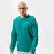 Vyriškas džemperis CHAMPION DŽEMPERIS CREWNECK SWEATSHIRT 214151gs040 spalva žalia