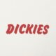 Vyriški marškinėliai DICKIES MARŠKINĖLIAI DRY RIDGE SS TEE dk0a8853c481 spalva balta
