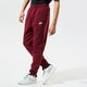 Vyriškos kelnės NIKE KELNĖS SPORTSWEAR CLUB FLEECE bv2671-638 spalva tamsiai raudona