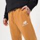 Vyriškos kelnės NEW BALANCE KELNĖS NB ESSENTIAL STACKED mp31539tob spalva ruda