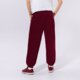 Moteriškos kelnės JORDAN KELNĖS W J FLT FLC PANT dq4607-645 spalva tamsiai raudona