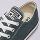 Vyriški inkariukai CONVERSE CHUCK TAYLOR ALL STAR  a10537c spalva žalia