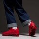 Vyriški kedai NIKE AIR VAPORMAX PLUS cw6973-600 spalva raudona