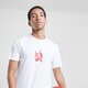 Vyriški marškinėliai JORDAN MARŠKINĖLIAI M J BRAND GFX SS CREW fd7025-100 spalva balta