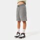 Vaikiški JORDAN ŠORTAI ESSENTIALS SHORT BOY 95a872-geh spalva pilka