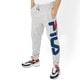 Vyriškos kelnės FILA KELNĖS PURE BASIC PANTS 681094b13 spalva pilka