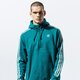 Vyriškas džemperis ADIDAS DŽEMPERIS 3-STRIPES HZ ek0254 spalva žalia
