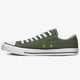 Vyriški inkariukai CONVERSE CHUCK TAYLOR ALL STAR  166711c spalva žalia