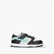 Vaikiški kedai NIKE DUNK LOW cw1589-003 spalva juoda