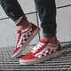 Vyriški inkariukai VANS UA OLD SKOOL vn0a38g1vk5m spalva raudona