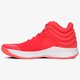 Vyriški žieminiai batai ADIDAS PRO SPARK 2018 b44964 spalva tamsiai raudona