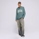 Vyriškas džemperis DICKIES DŽEMPERIS AITKIN SWEATSHIRT dk0a4xabj951 spalva žalia