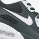 Vyriški kedai NIKE AIR MAX 90 ESSENTIAL  537384089 spalva pilka