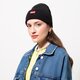 Vaikiška kepurė LEVI'S KEPURĖ RED BATWING EMBROIDERED BEANIE 38022-0182 spalva juoda