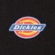 Moteriški marškinėliai DICKIES MARŠKINĖLIAI MAPLETON SS TEE dk0a4xdablk1 spalva juoda