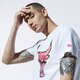 Vyriški marškinėliai NEW ERA MARŠKINĖLIAI NBA PRINT   INFILL TEE CHIBUL WHI 12369779 spalva balta