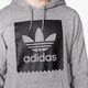Vyriškas džemperis ADIDAS DŽEMPERIS BLKBRD BASIC HD ay8886 spalva pilka