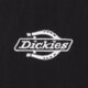 Vyriška žieminė striukė DICKIES STRIUKĖ  ŽIEMINĖ SUMMERDALE PUFFER dk0a87ogblk1 spalva juoda
