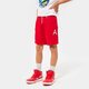 Vaikiški JORDAN ŠORTAI JUMPMAN BIG AIR MESH SHORT BOY 95b219-r78 spalva raudona