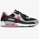 Vyriški kedai NIKE AIR MAX 90  cz4222-001 spalva pilka