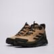 Vyriški auliniai batai ADIDAS TERREX ANYLANDER MID R.RDY jq9963 spalva ruda